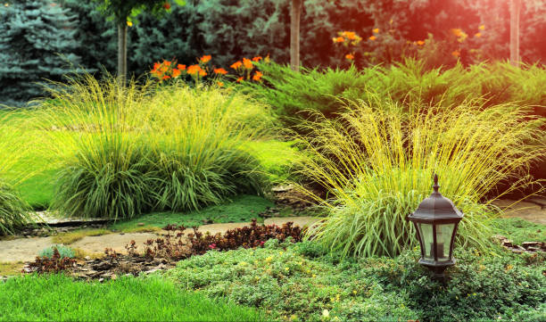 Ornamental Grasses & Seasonal Color — Seasonal Color landscaping in Salt Lake City, UT by LandArt